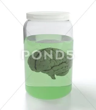Brain in jar with liquid Stock Illustration