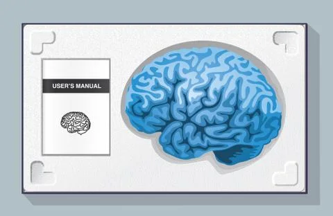 Brain kit Stock Illustration