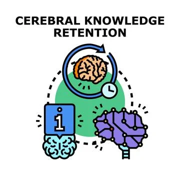 Brain knowledge retention process, learning and memory Stock Illustration