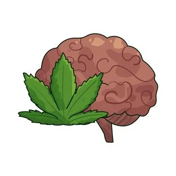 Brain With Leaf illustration Stock Illustration