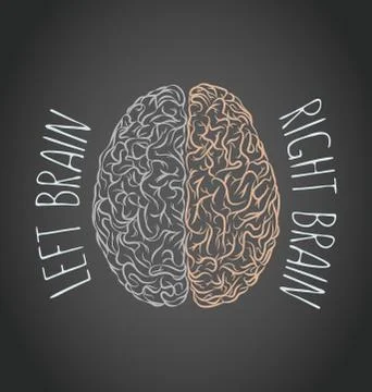 Brain left and right Stock Illustration