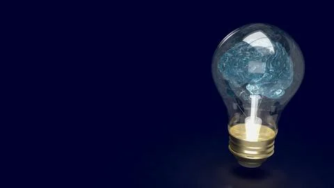 The Brain light bulb for education or creative inspiration concept 3d rende.. Stock Photos