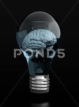 Brain in light bulb Stock Illustration