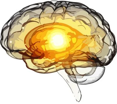 Brain light internal memory think neurology illustration Stock Illustration