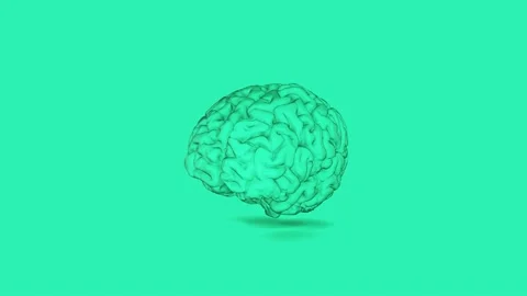 Brain lightgreen Stock-Footage 154473502
