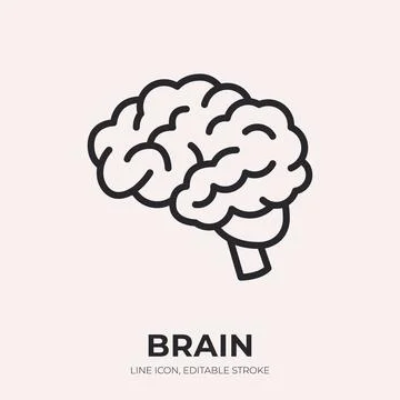 Brain line icon. Neurology linear vector illustration. Thin sign of human Illustrazione stock