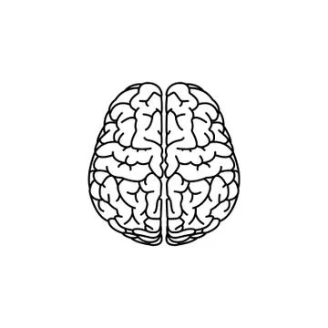 Brain line icon. vector illustration black on white background Stock Illustration