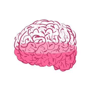 Brain loading. vessel of brain is filled with fluid. Knowledge filling concep Stock Illustration