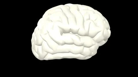 Brain loop Stock Footage