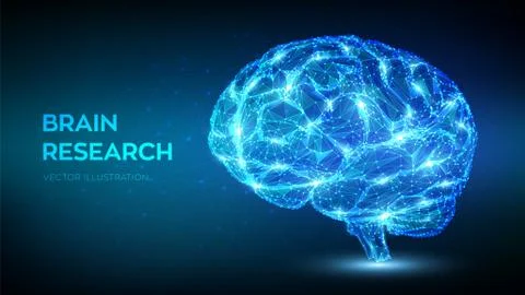 Brain. Low poly abstract digital human brain. Neural network. IQ testing, art Stock Illustration