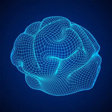 Brain. Low poly abstract digital human brain. Wireframe illustration. Stock Illustration