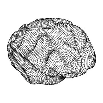 Brain. Low poly abstract digital human brain. Wireframe illustration. Stock Illustration