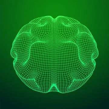 Brain. Low poly abstract digital human brain. Wireframe illustration. Stock Illustration
