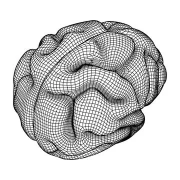Brain. Low poly abstract digital human brain. Wireframe illustration. Stock Illustration