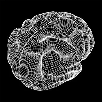 Brain. Low poly abstract digital human brain. Wireframe illustration. Stock Illustration