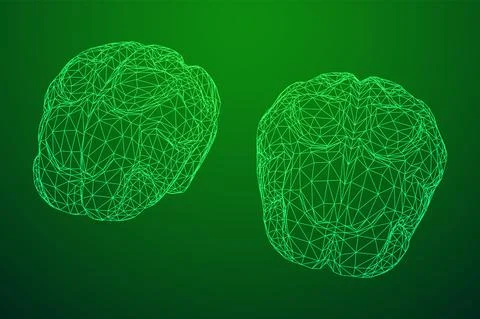 Brain. Low poly abstract digital human brain. Wireframe illustration. Stock-Illustration