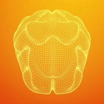 Brain. Low poly abstract digital human brain. Wireframe illustration. Stock Illustration