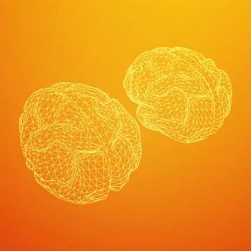 Brain. Low poly abstract digital human brain. Wireframe illustration. Stock Illustration