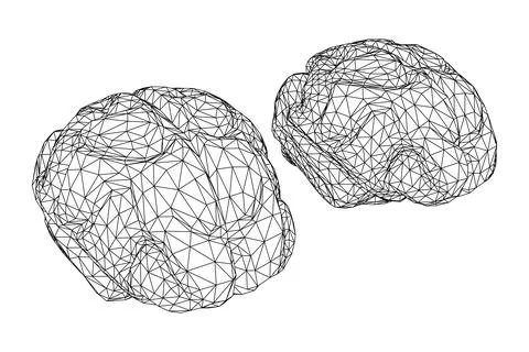 Brain. Low poly abstract digital human brain. Wireframe illustration. Stock Illustration
