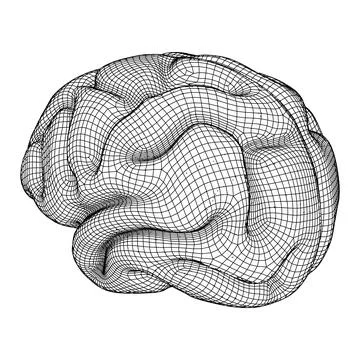 Brain. Low poly abstract digital human brain. Wireframe illustration. Stock Illustration