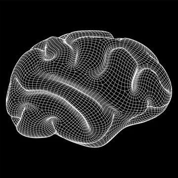 Brain. Low poly abstract digital human brain. Wireframe illustration. Stock Illustration
