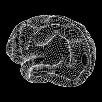Brain. Low poly abstract digital human brain. Wireframe illustration. Stock Illustration