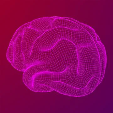 Brain. Low poly abstract digital human brain. Wireframe illustration. Stock Illustration