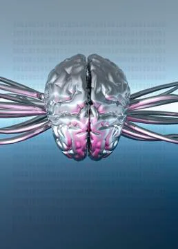 Brain mapping, conceptual artwork Stock Illustration