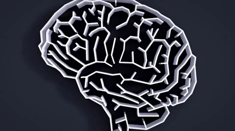 Brain maze animation high definition Stock Footage 39241653