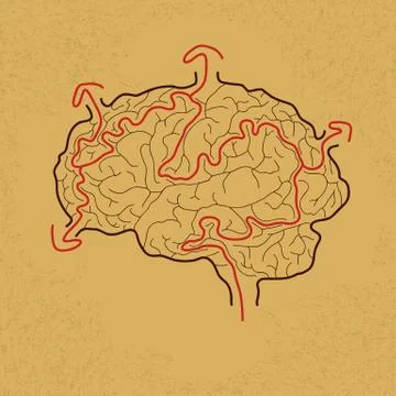 Brain maze with correct path , Vector EPS10 Stock Illustration