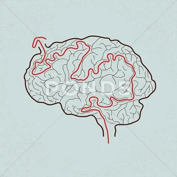 Brain maze with correct path , Vector Stock Illustration
