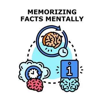 Brain memorizing facts and information mentally Stock Illustration