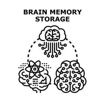 Brain memory storage and intelligent data processing concept Stock Illustration