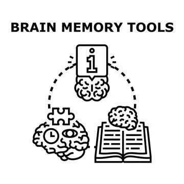 Brain memory tools for learning and development Stock Illustration