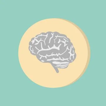Brain.  mind and science Stock Illustration