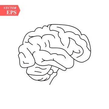 Brain, mind or intelligence line art icon for apps and websites Stock Illustration