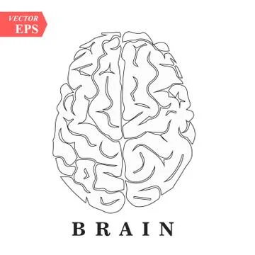 Brain, mind or intelligence line art icon for apps and websites Stock Illustration