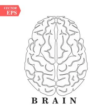 Brain, mind or intelligence line art icon for apps and websites Stock Illustration