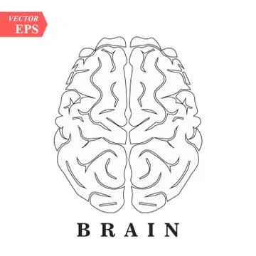Brain, mind or intelligence line art icon for apps and websites Stock Illustration