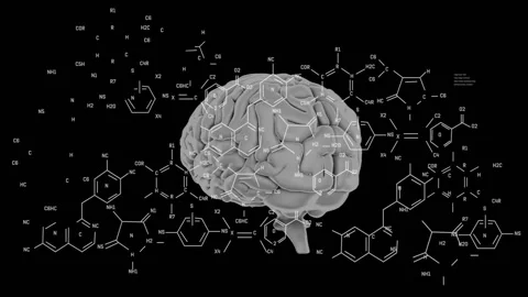 Brain model with chemical structures, scientific research animation 库存影片 306507402
