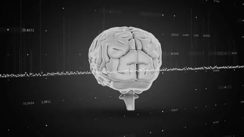 Brain model with data points and binary coding in digital analysis animation Stock Footage 304015510