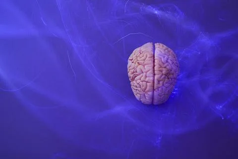 Brain model generating neural impulses on blue background Stock Photos