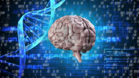 Brain model materializing, rotating right, binary drifting and code filling Stock Footage 314173661
