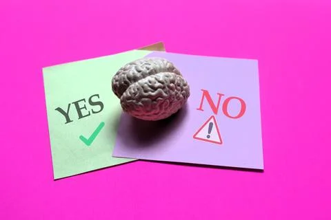 Brain model placed over yes and no cards on pink background symbolizing cog.. Stock Photos