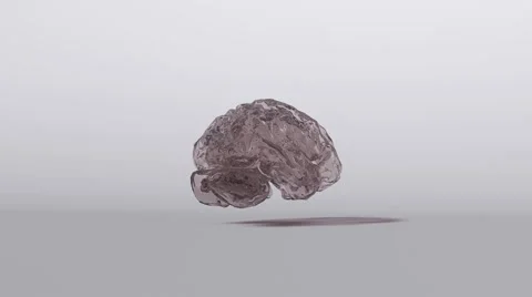 Brain model rotation Stock Footage 63611532