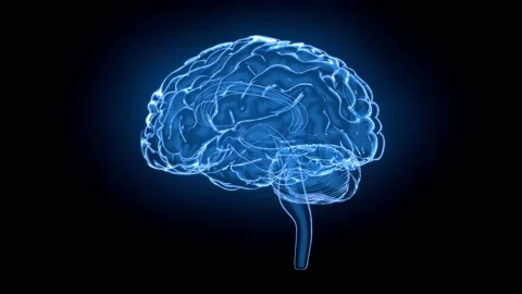 Brain model x-ray look isolated on black background. Looping without breaks Stock Footage 203229023