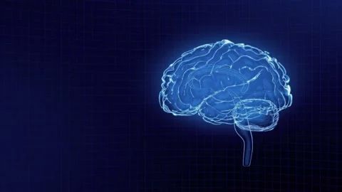 Brain model x-ray look isolated on black grid background. Looping without breaks Stock Footage 203276125