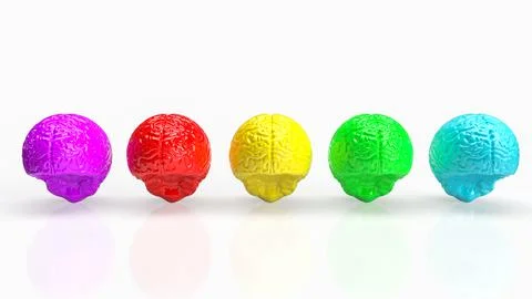 The brain multi color  on white  background  for creative concept 3d renderin Stock Illustration