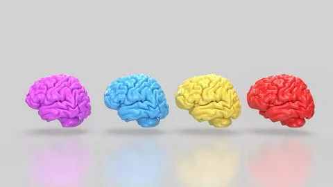 The Brain multi color on white background  for education or sci concept 3d .. Stock Illustration