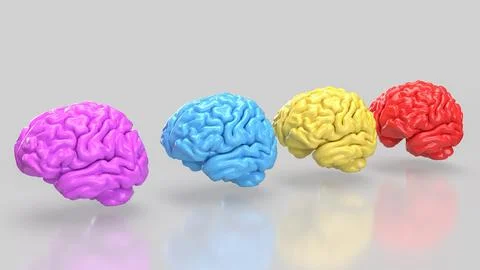 The Brain multi color on white background  for education or sci concept 3d .. イラスト素材